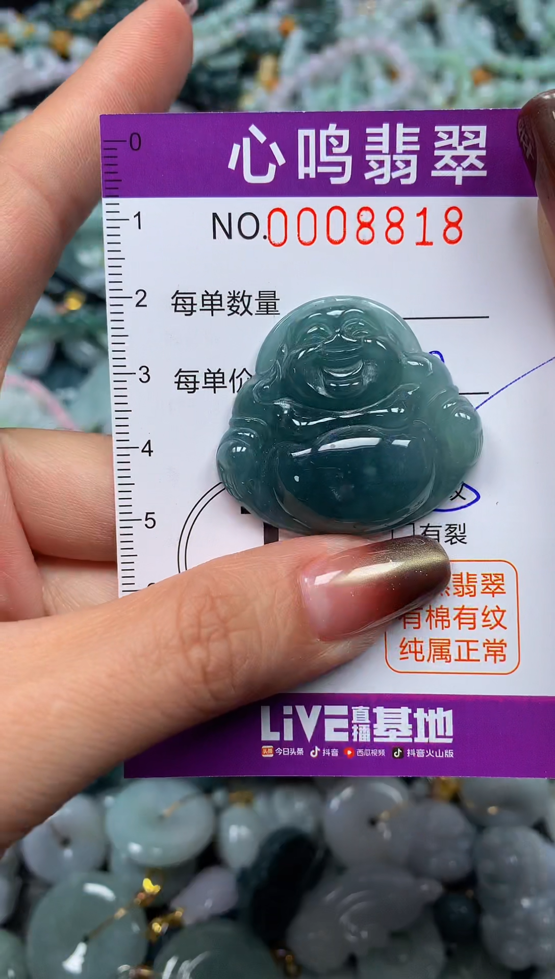 颈饰未镶嵌翡翠闪购008818