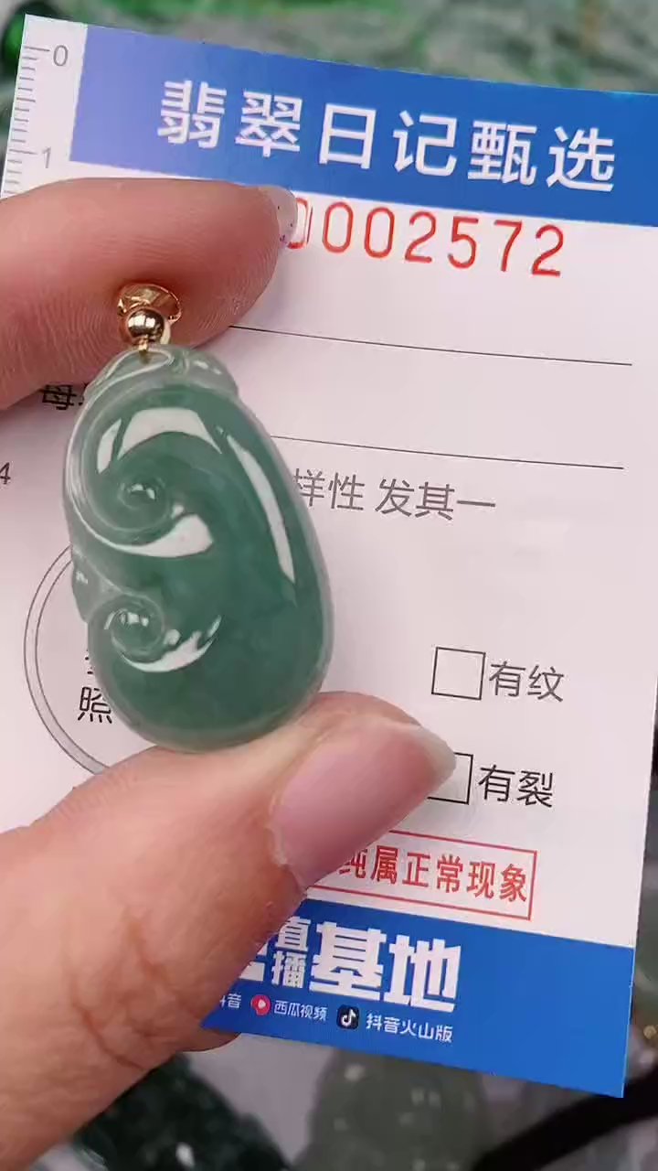 【闪购商品】翡翠颈饰未镶嵌00002572