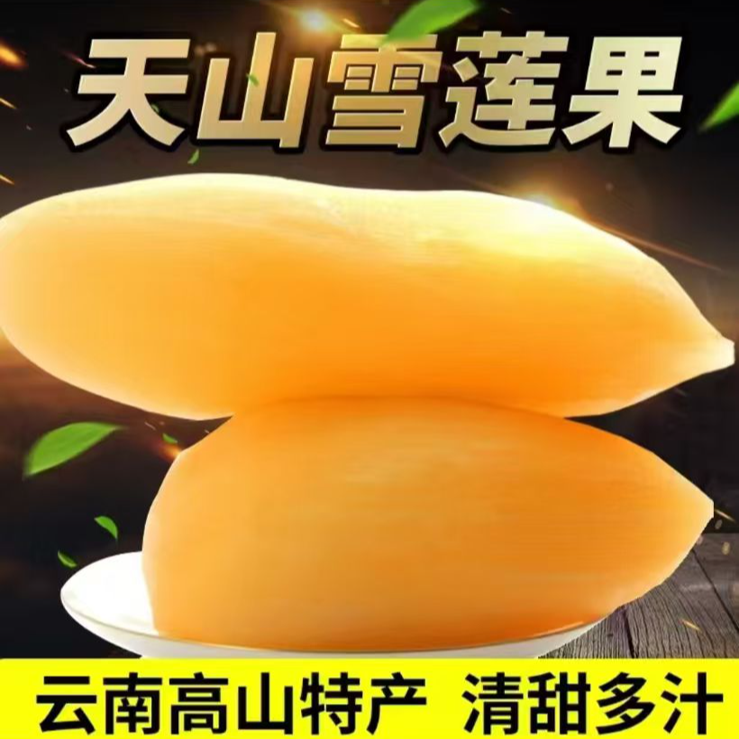 【黄心脆甜】云南天山雪莲果脆甜多汁助农水果坏果包赔现挖现发