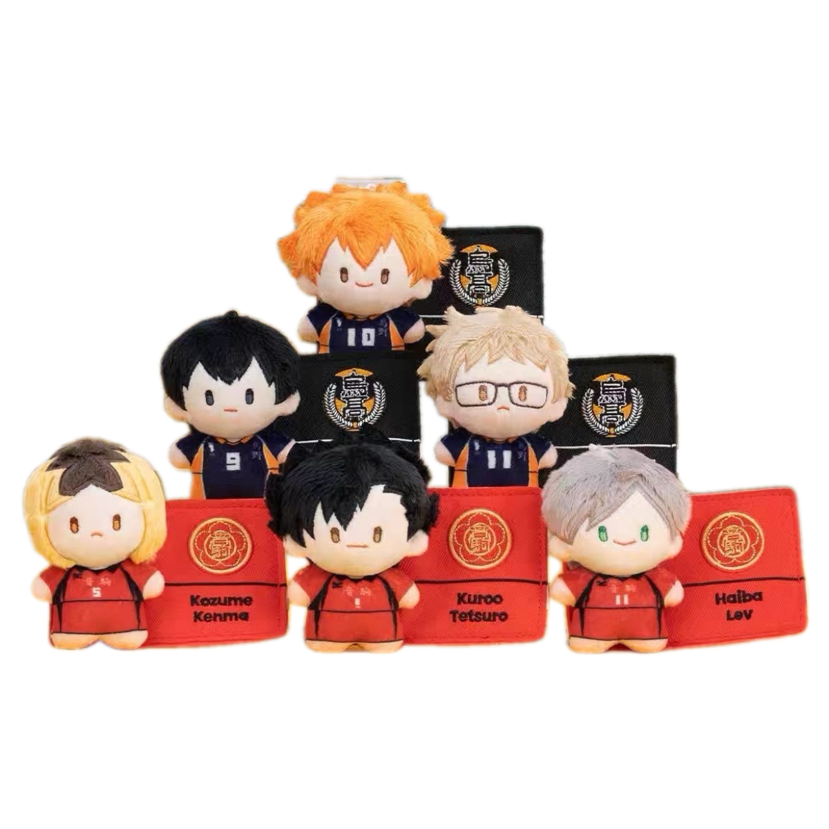 【国谷】排球少年 垃圾场对决 毛绒徽章玩偶系列（默认代拆）