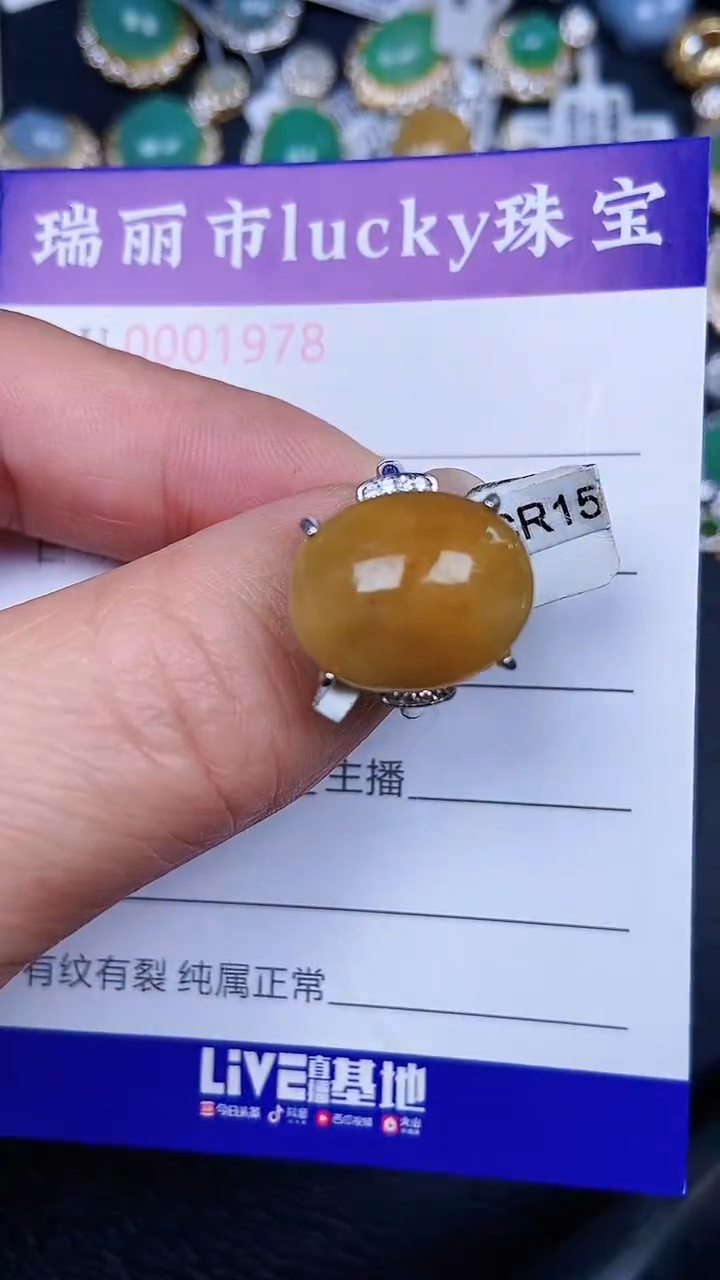 颈饰银S925镶嵌翡翠1978