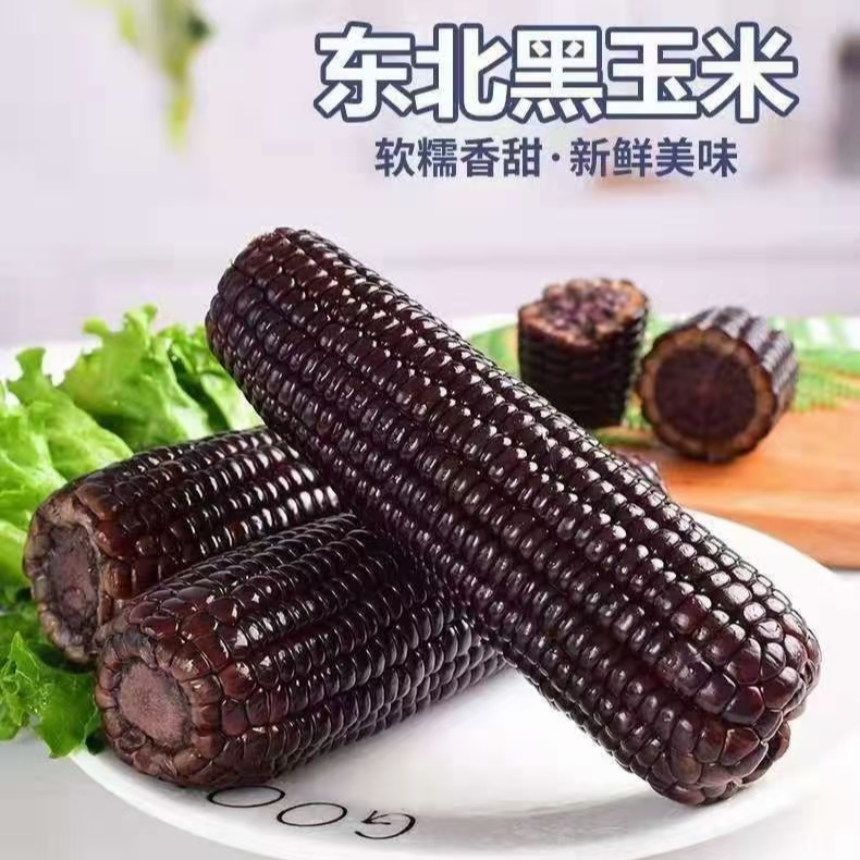 【整箱8.5-9斤】25年头茬黑糯玉米(300-350g)拍10送4发14支试吃4支