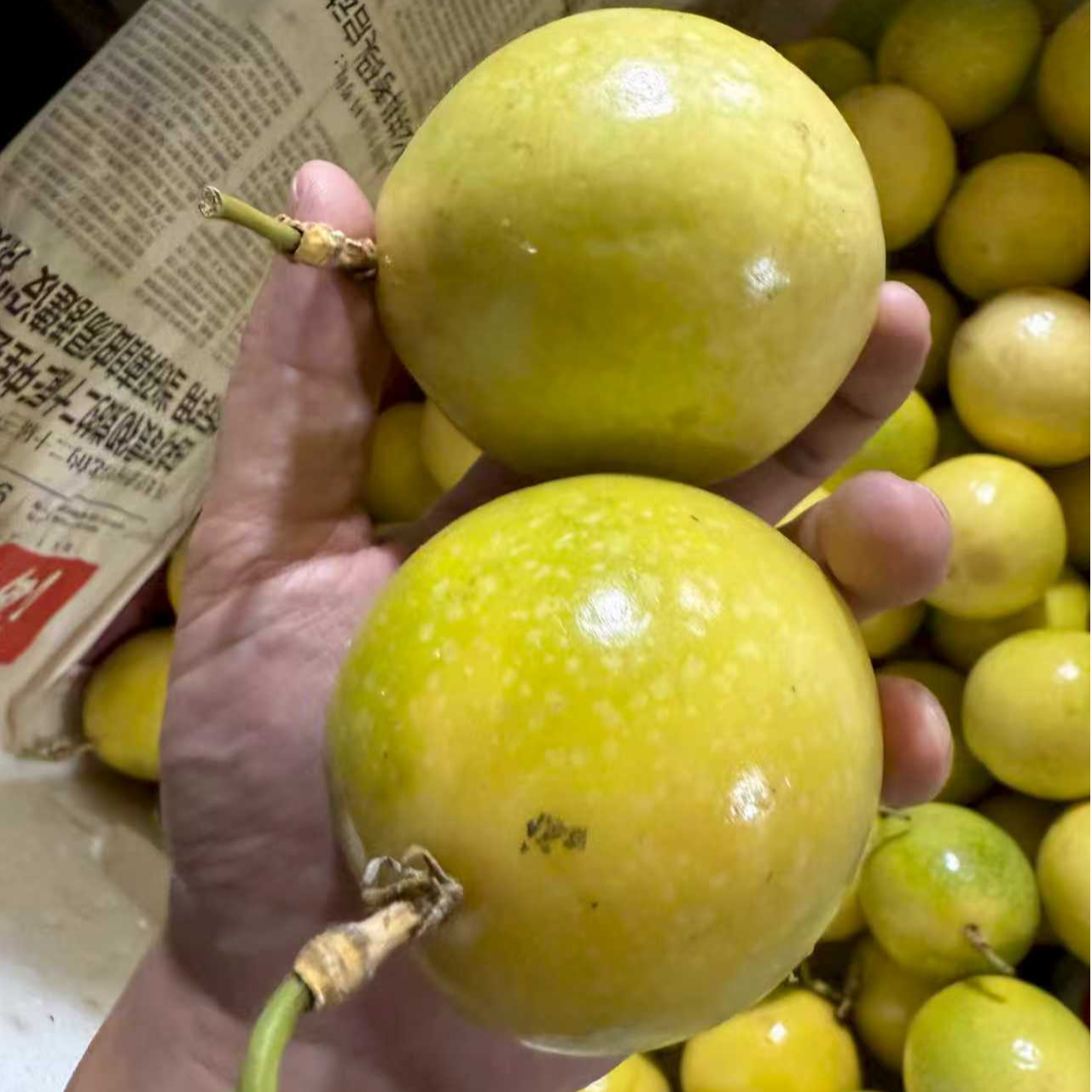 w【广西正宗钦蜜九号】百香果3-5斤新鲜当季水果爆甜多汁  赠开口器