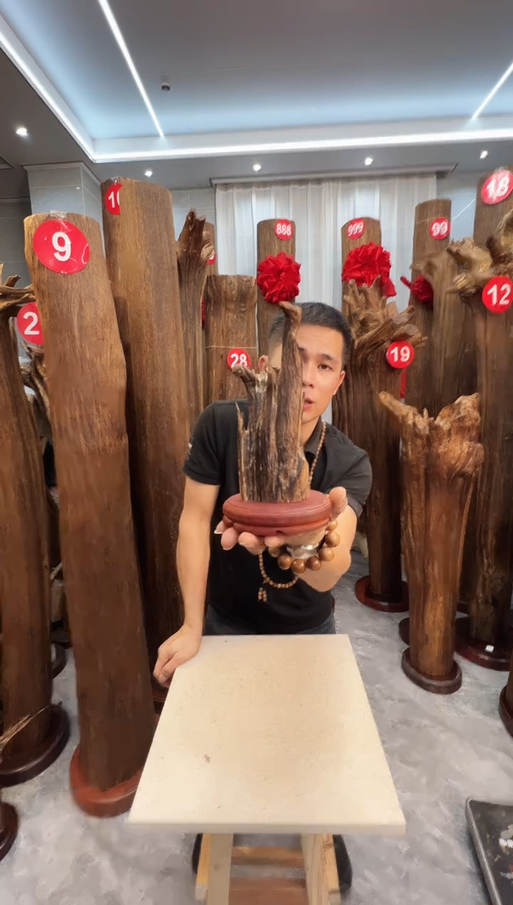 沉香沉香碎屑沉香原料