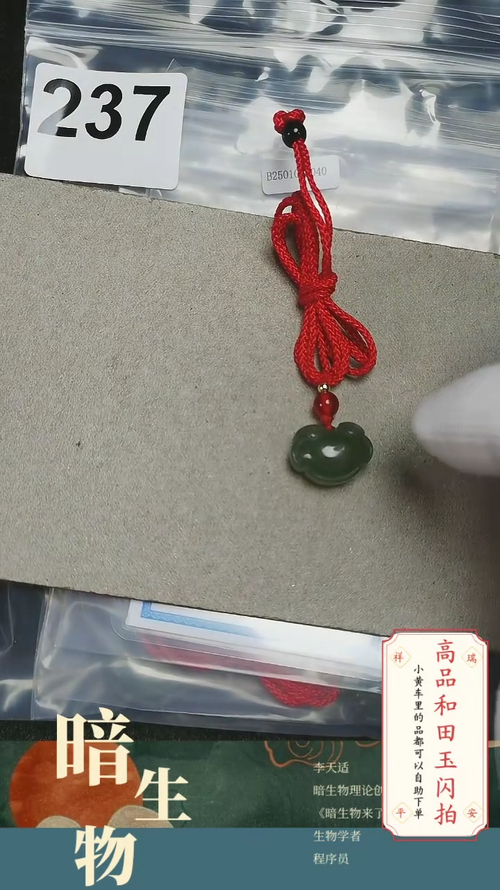 【闪购商品】和田玉吊坠(赠链)未镶嵌237