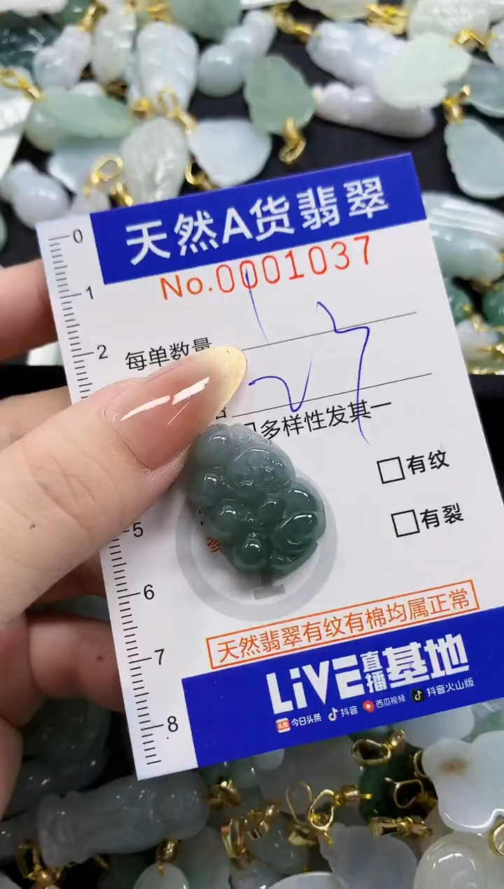 颈饰未镶嵌翡翠天然A货翡翠