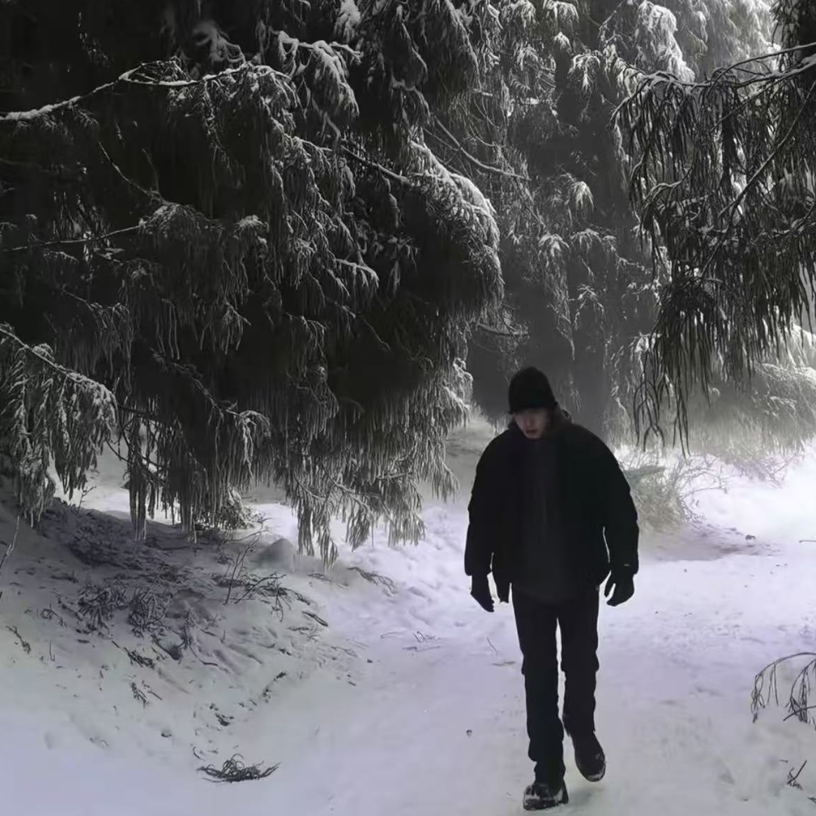 飞索SV男女同款户外防风保暖滑雪鹅绒服（仁1）