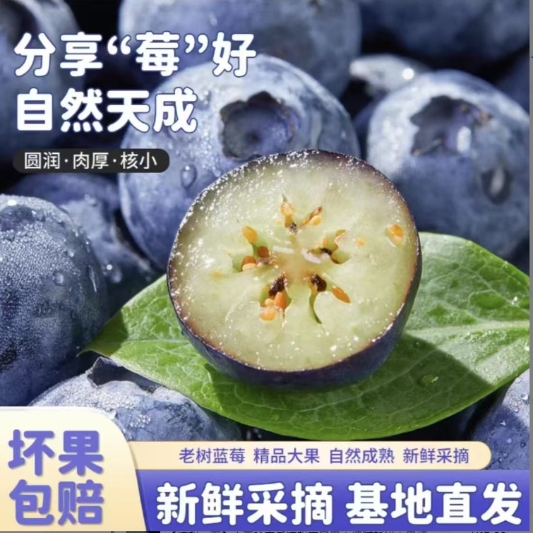 头茬露天蓝莓应当季高端水果高山蓝莓京东包邮