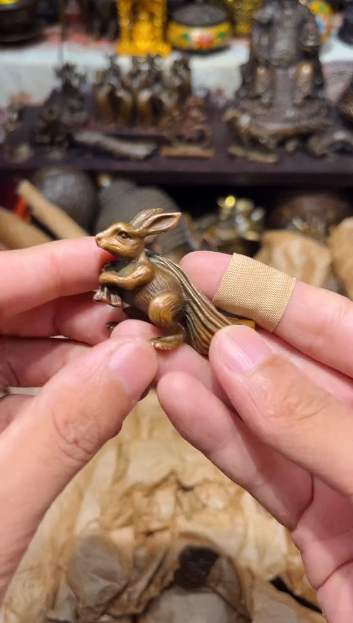 Z诺诺古铜高端精品4