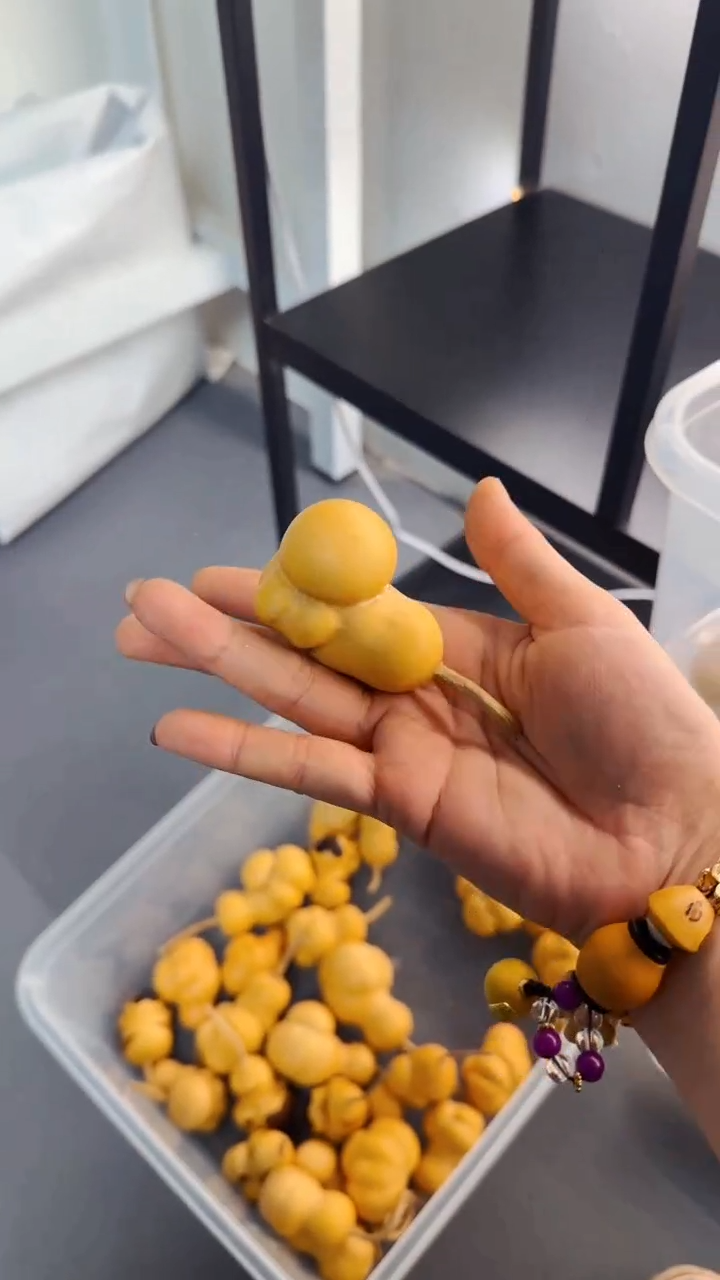 【闪购商品】498文玩葫芦文玩好物