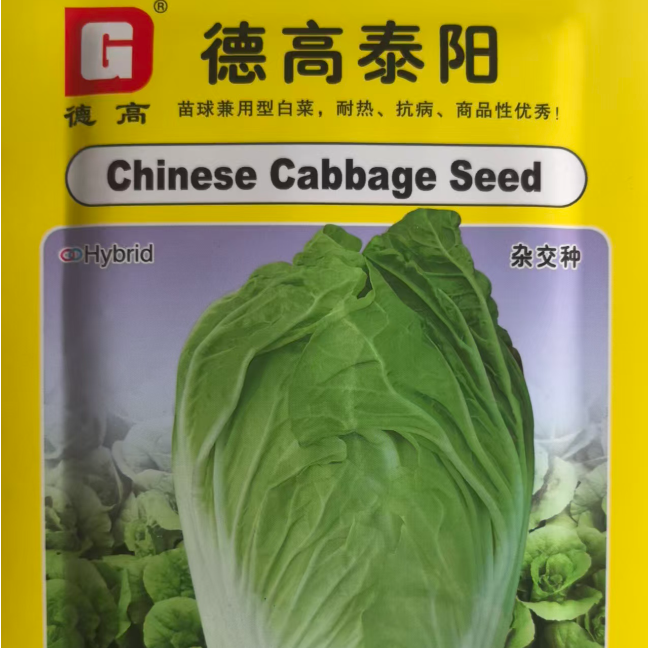 德高泰阳耐热，抗病，叶片绿，白帮无刺 种植充心快，产量高，商品性优