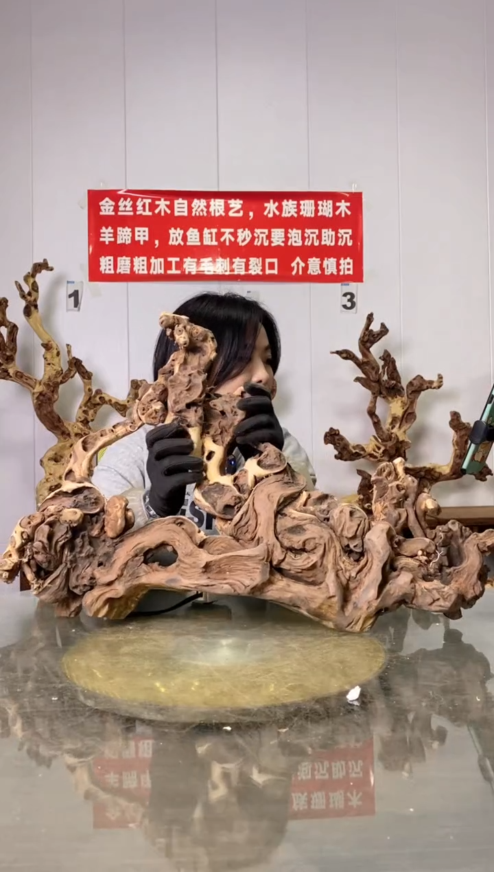 【闪购商品】香榧木130金丝红木 羊蹄甲 