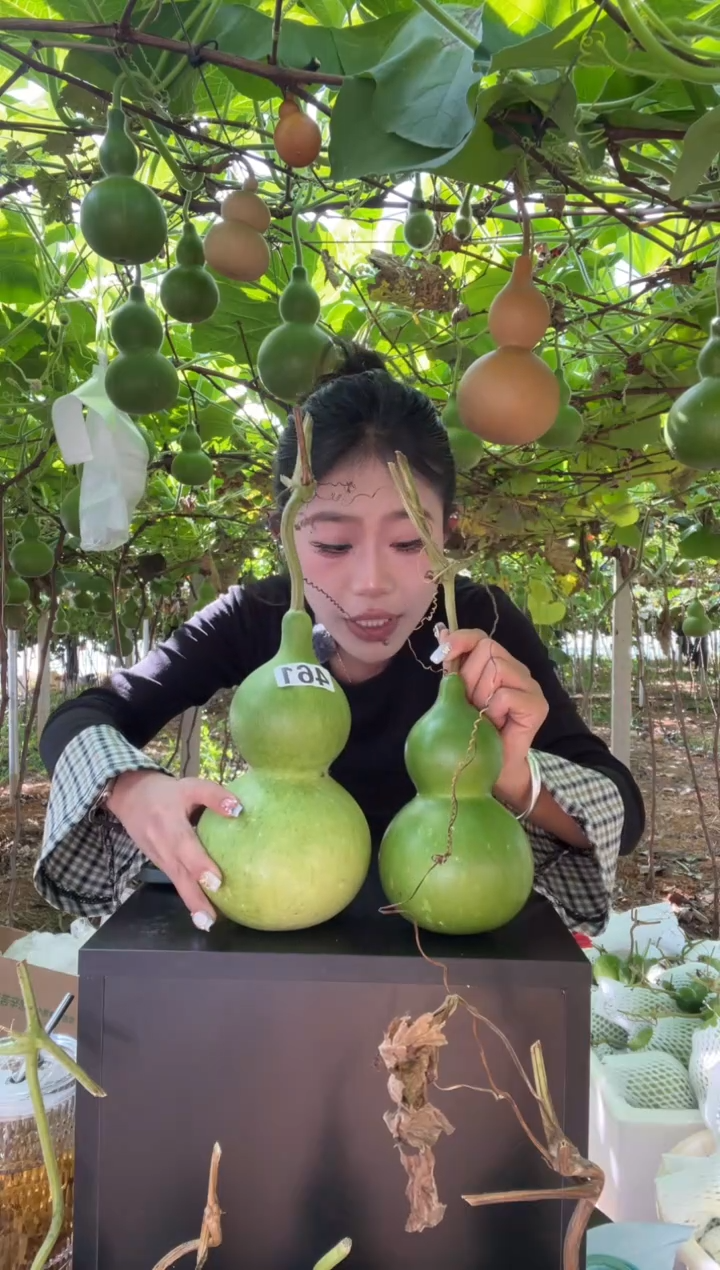 大***猫461天然葫芦摆件 一物一拍龙头不保售后带一个礼品1