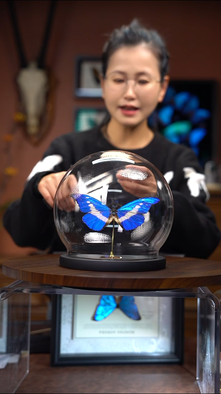 N708    光明女神 玻璃球款