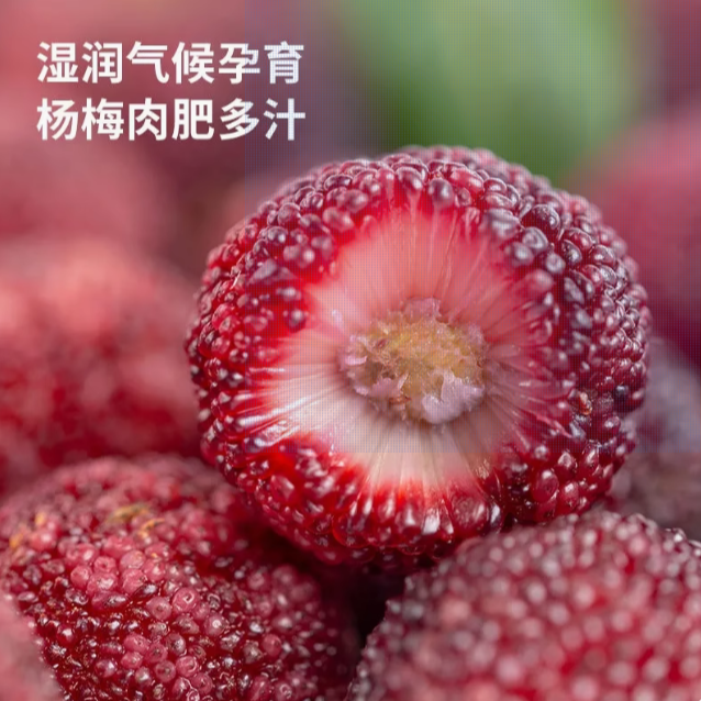 杨梅杨梅果新疆包邮京东送货上门新鲜杨梅云南省