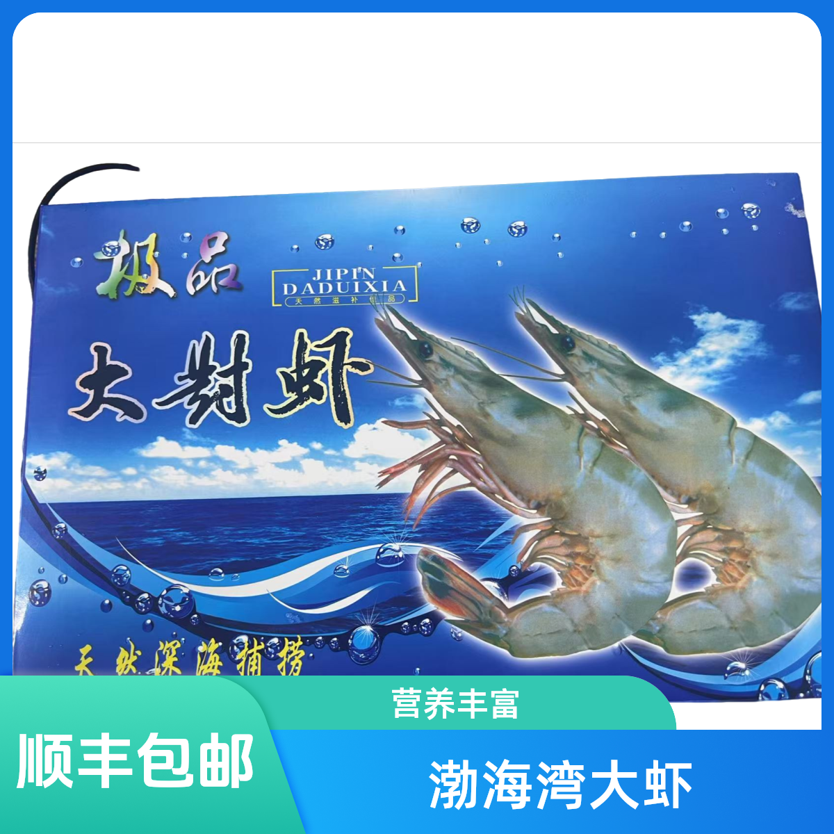 渤海湾深海对虾3盒装