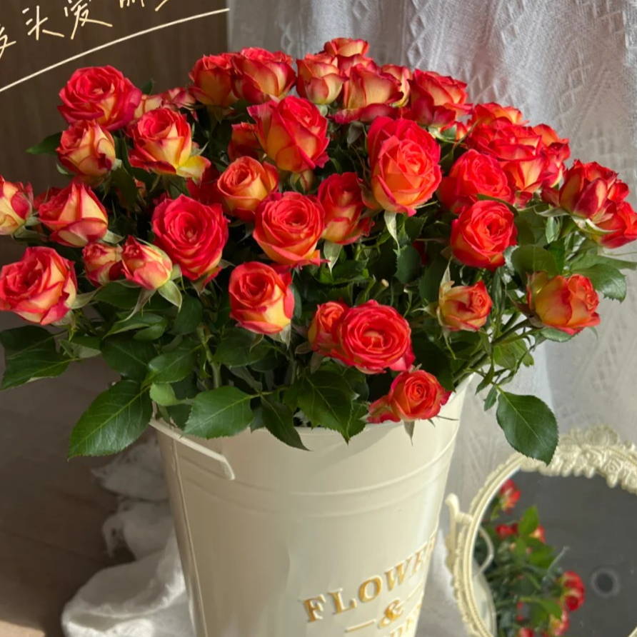 情人节鲜花搭配【艾莎+爱丽丝+尤加利叶】花语：我此生只钟情于你