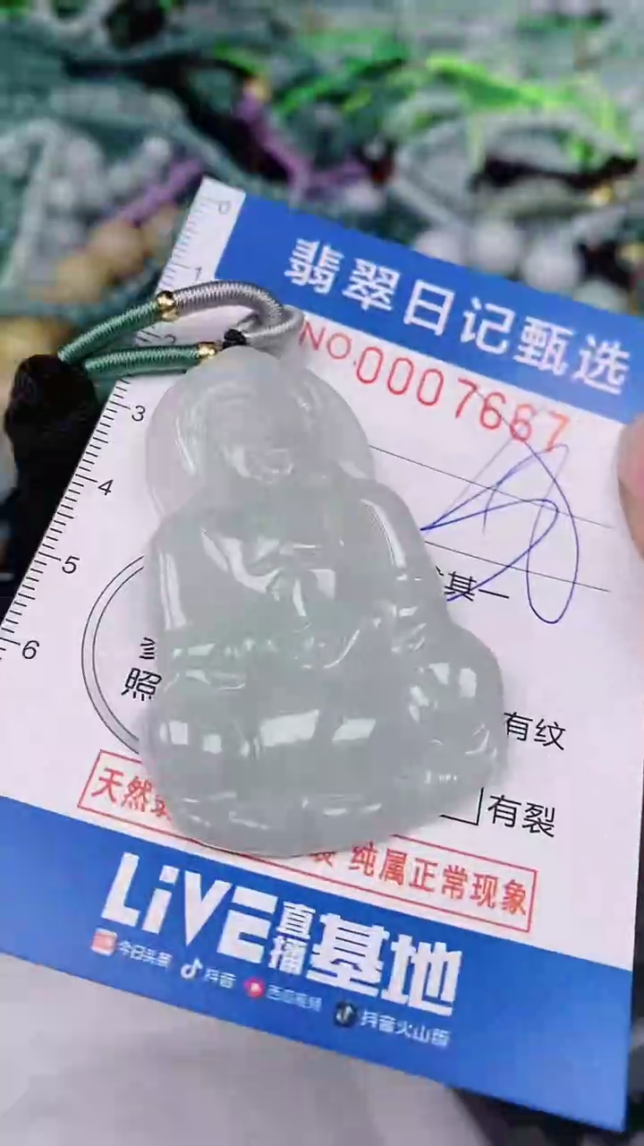 【闪购商品】翡翠颈饰未镶嵌00007667