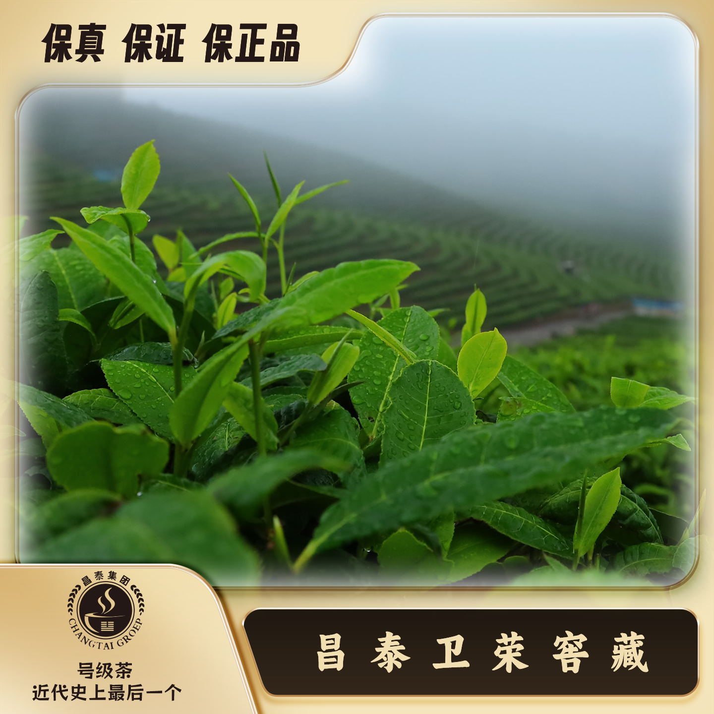 【昌泰卫荣】11月 印级茶福利 通用链接   