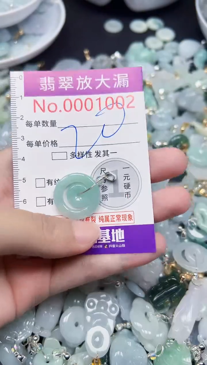 颈饰未镶嵌翡翠1002