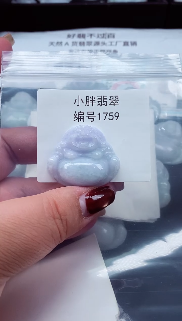 颈饰未镶嵌翡翠缅甸天然A货翡翠1759