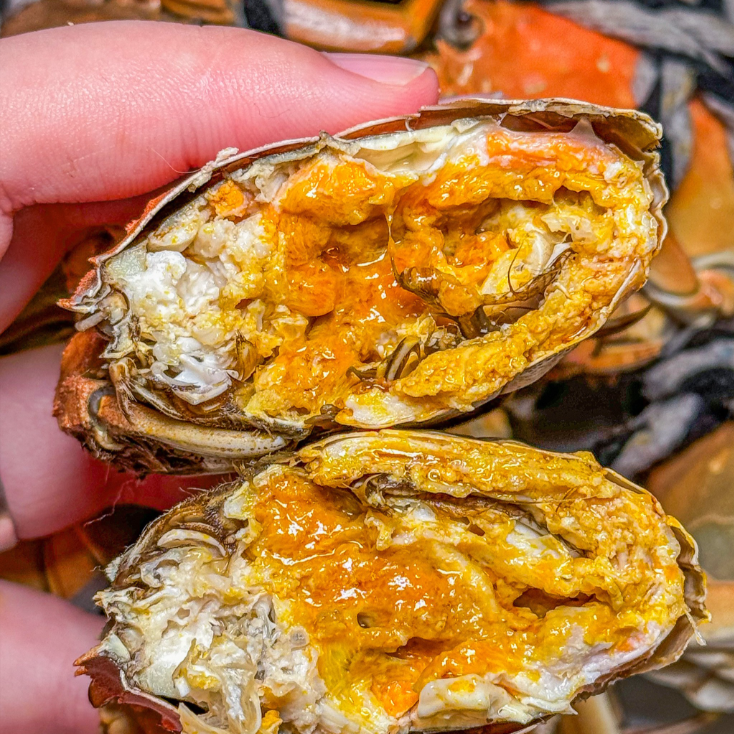 【6只8只礼盒装】江苏青蟹2.2-2.7两 次日达 顺丰包邮W1