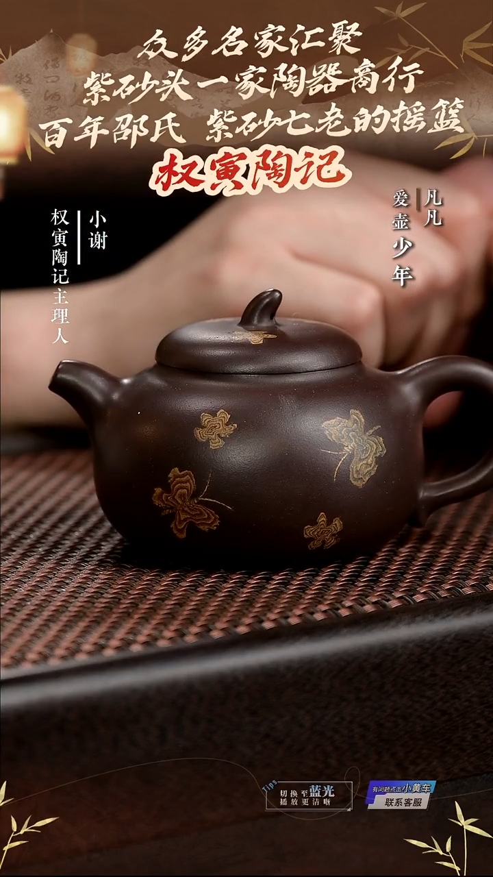 茶壶紫砂YM权寅陶记92绞泥茄瓜紫泥220cc