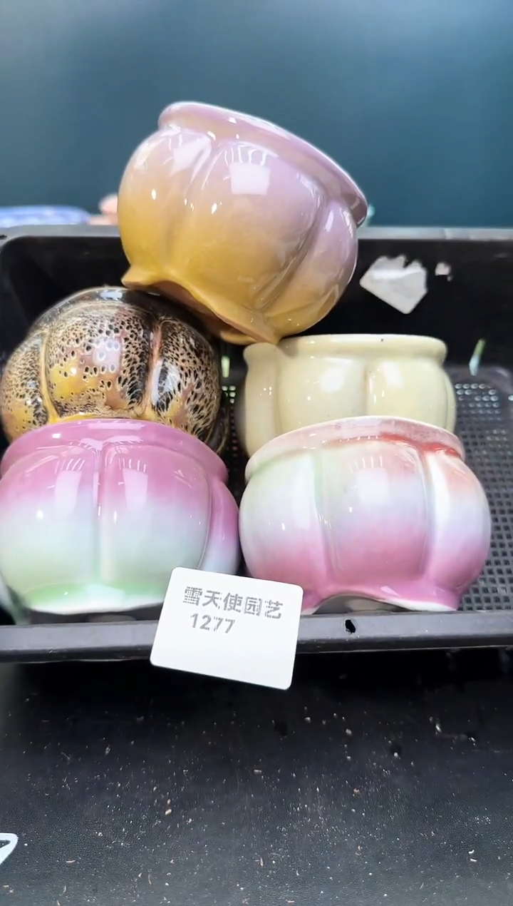 1277  小南瓜盆 5 个默认微瑕