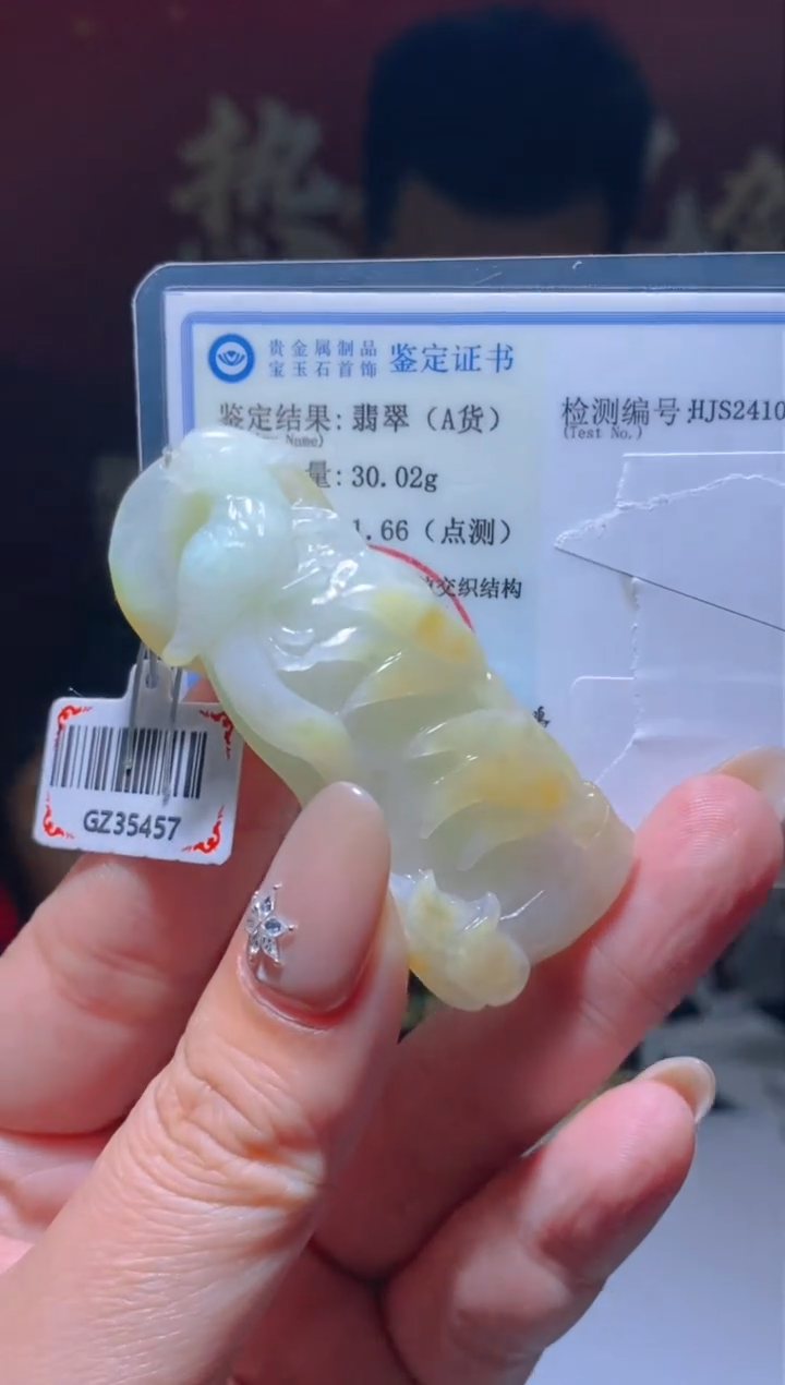 【闪购商品】翡翠吊坠(不含链)未镶嵌闪购毛货链接ZZX08