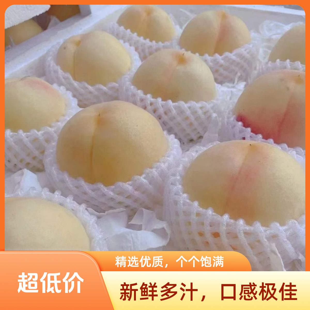 【今天拍明天到】当季优选 新沂水蜜桃礼盒装一箱  净重约3.5斤当季新鲜水果桃子江苏省