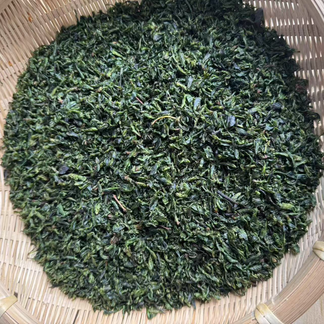 W高山 农家 小叶 苦丁