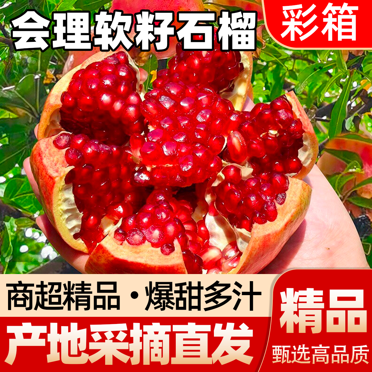 【顺丰快递】正宗四川会理软籽石榴新鲜当季水果精选商超大果整箱