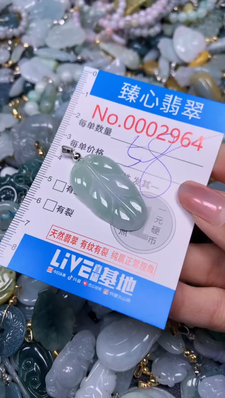 【闪购商品】翡翠颈饰未镶嵌含绳0002964