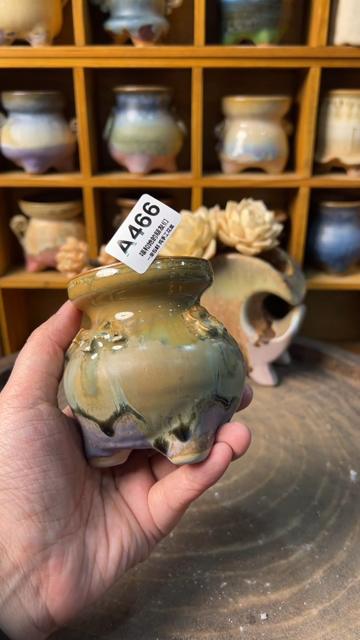 466 内口6【多肉花盆多肉盆】