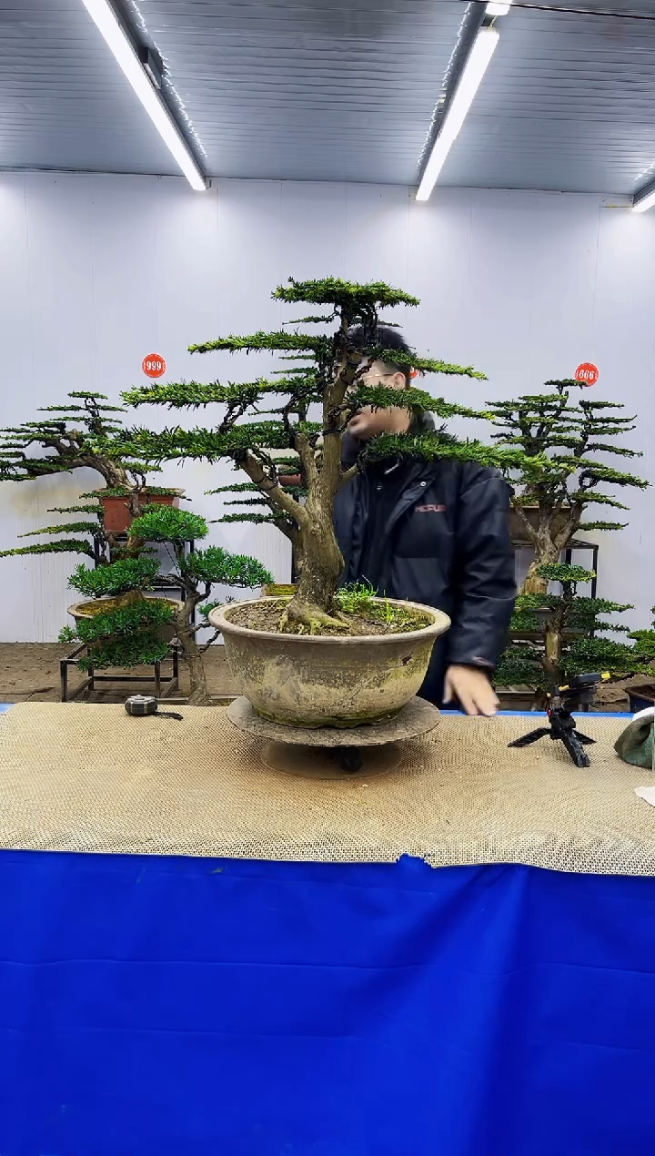 完全开放一物一拍，所见即所得