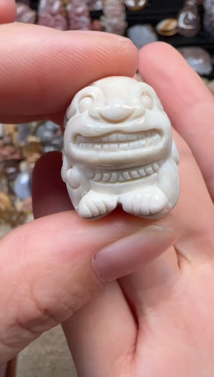 颈饰未镶嵌硅化珊瑚（珊瑚玉）559