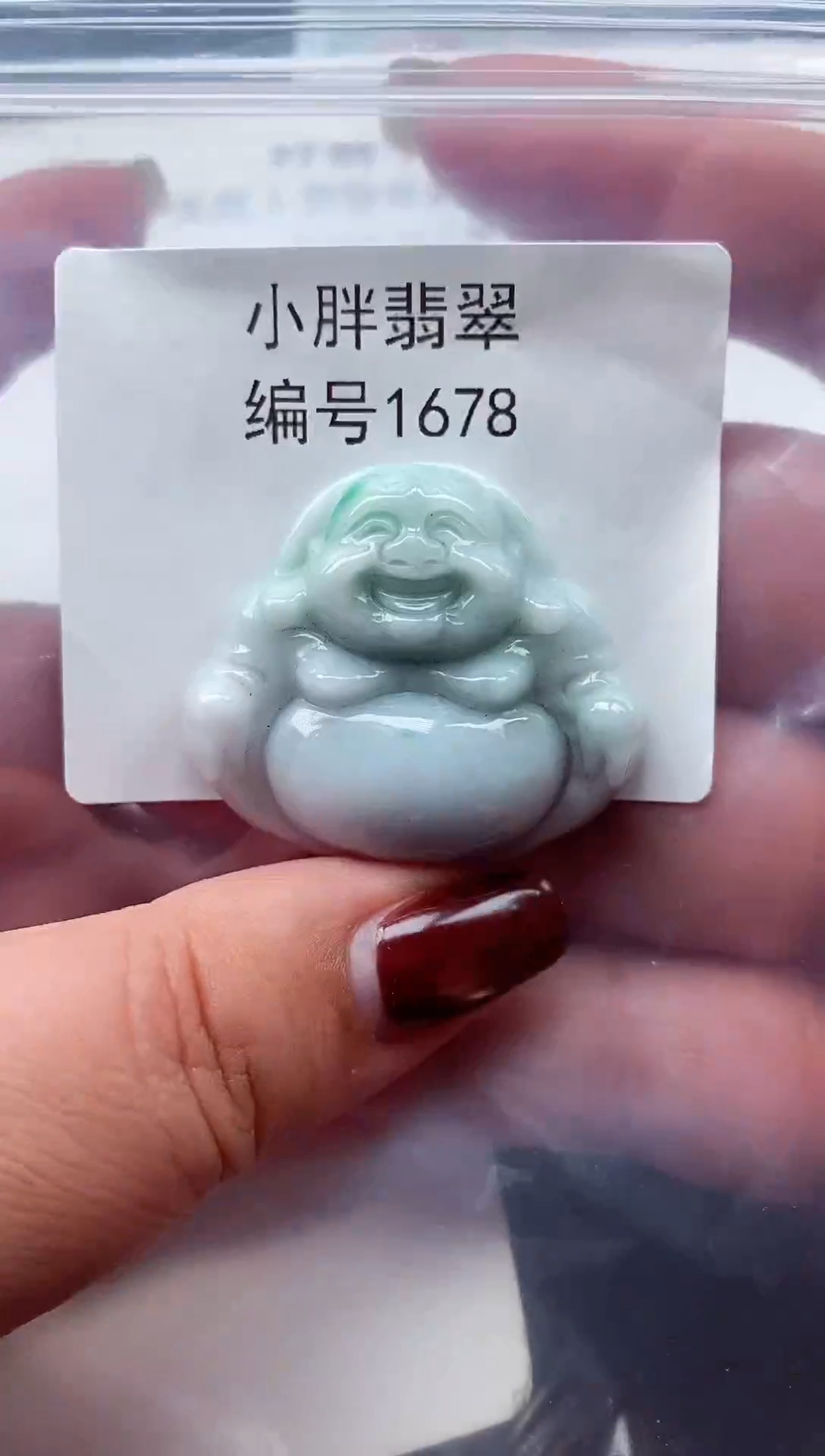 颈饰未镶嵌翡翠缅甸天然A货翡翠1678