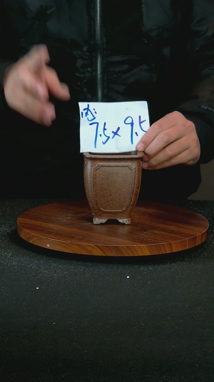 【闪购商品】紫砂T12