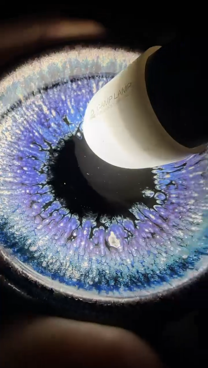 【闪购商品】茶盏老布严选建盏茶器111