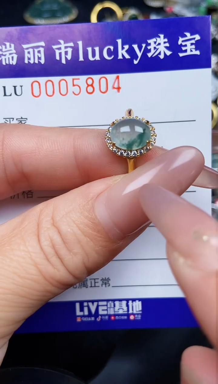 翡翠银S925镶嵌颈饰5804