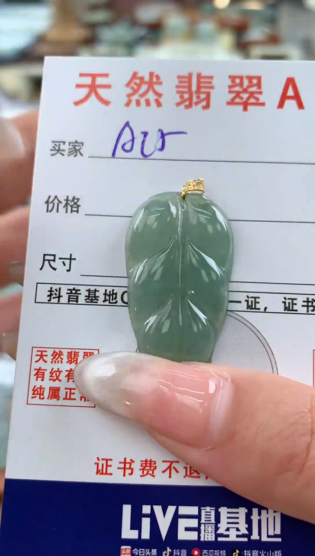 【闪购商品】翡翠颈饰18K金镶嵌多样性发其一