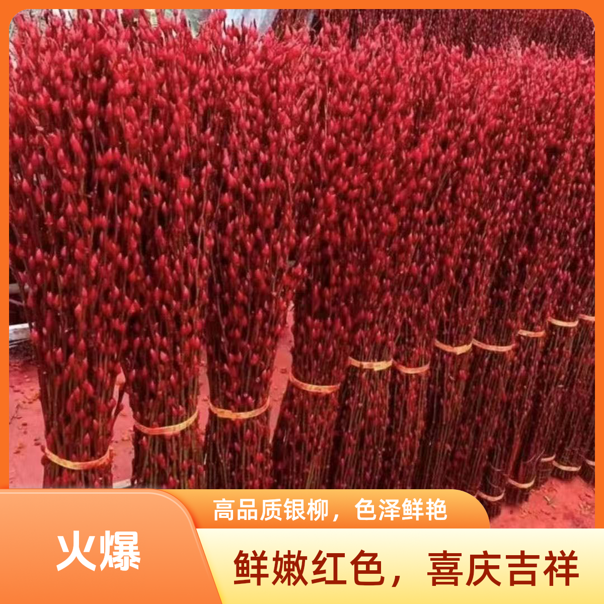 1米-1.5米喜庆干花真花鲜枝红色银柳年宵花装饰过年客厅摆放花