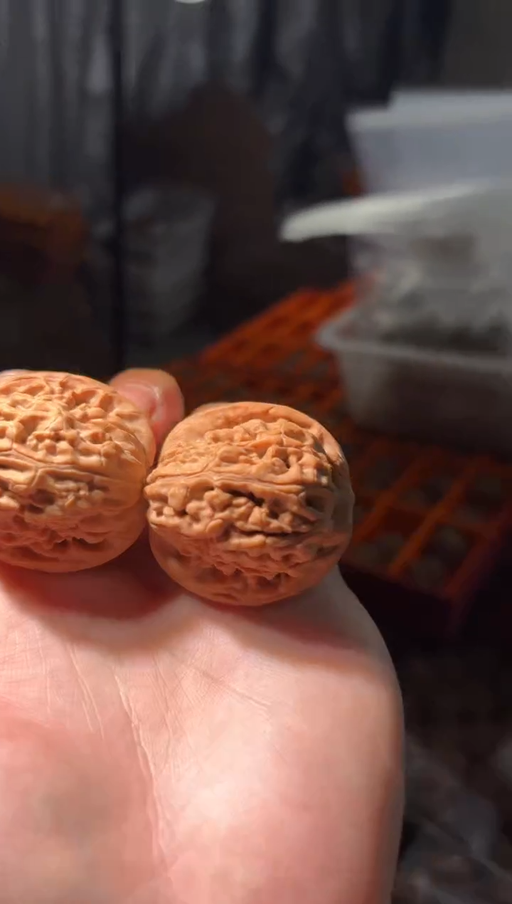 把件文玩核桃40尺寸莲花文玩核桃