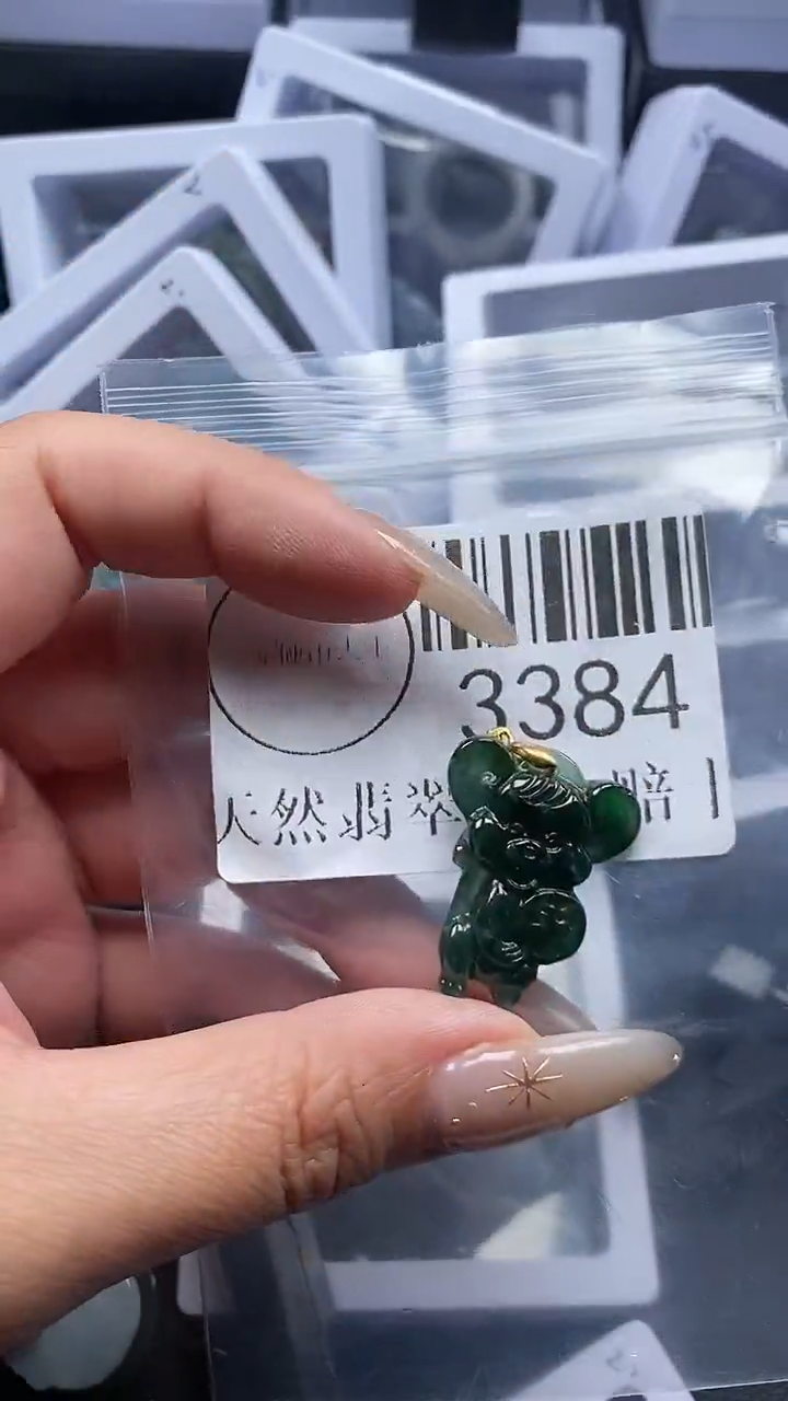 颈饰未镶嵌翡翠3384