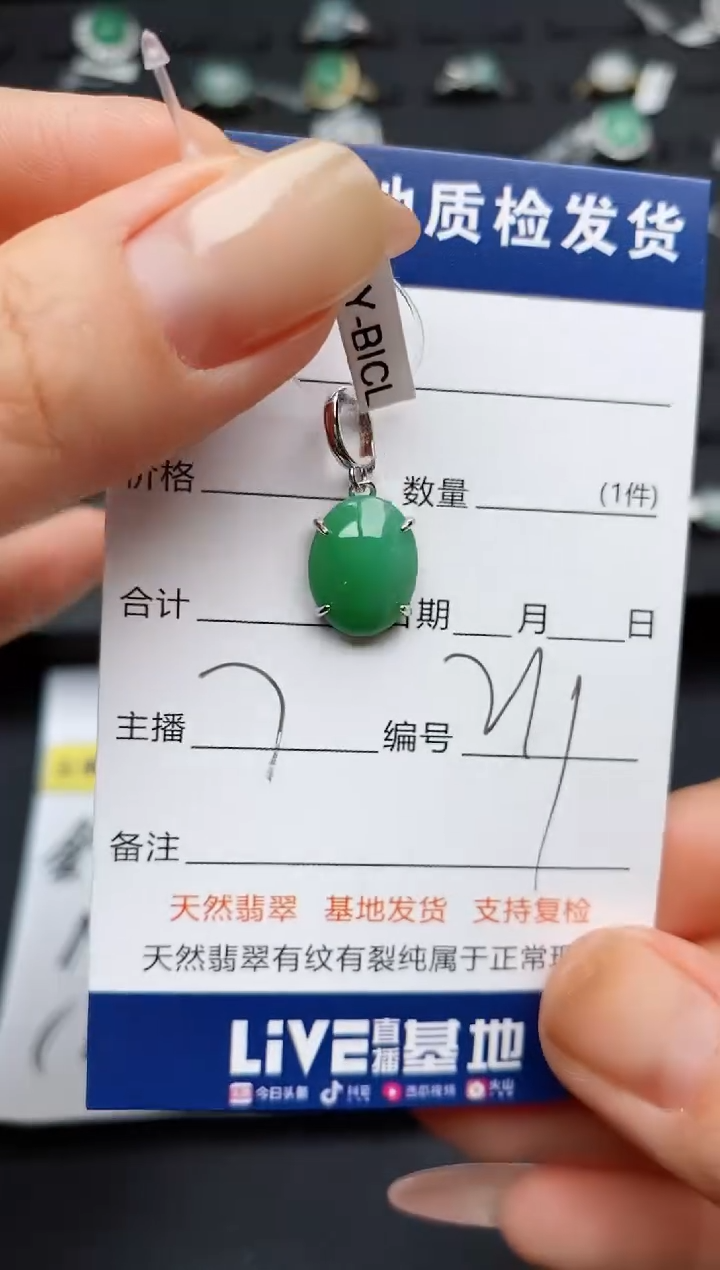 翡翠银S925镶嵌颈饰............