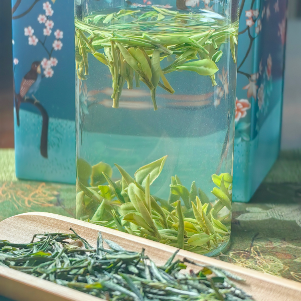 优选太湖茶天华谷尖头春头采明前绿茶鲜爽回甘兰花香200g