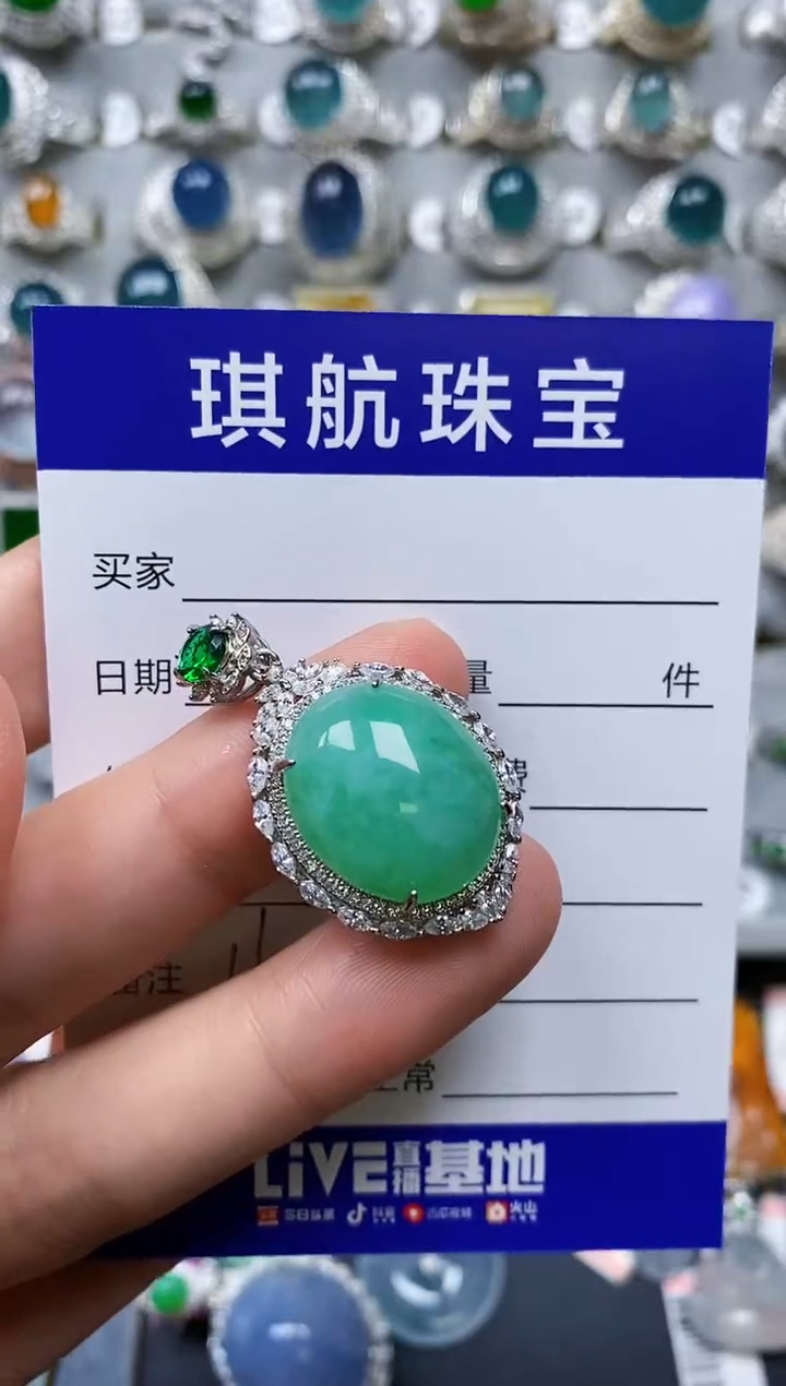 【闪购商品】翡翠颈饰银S925镶嵌0160