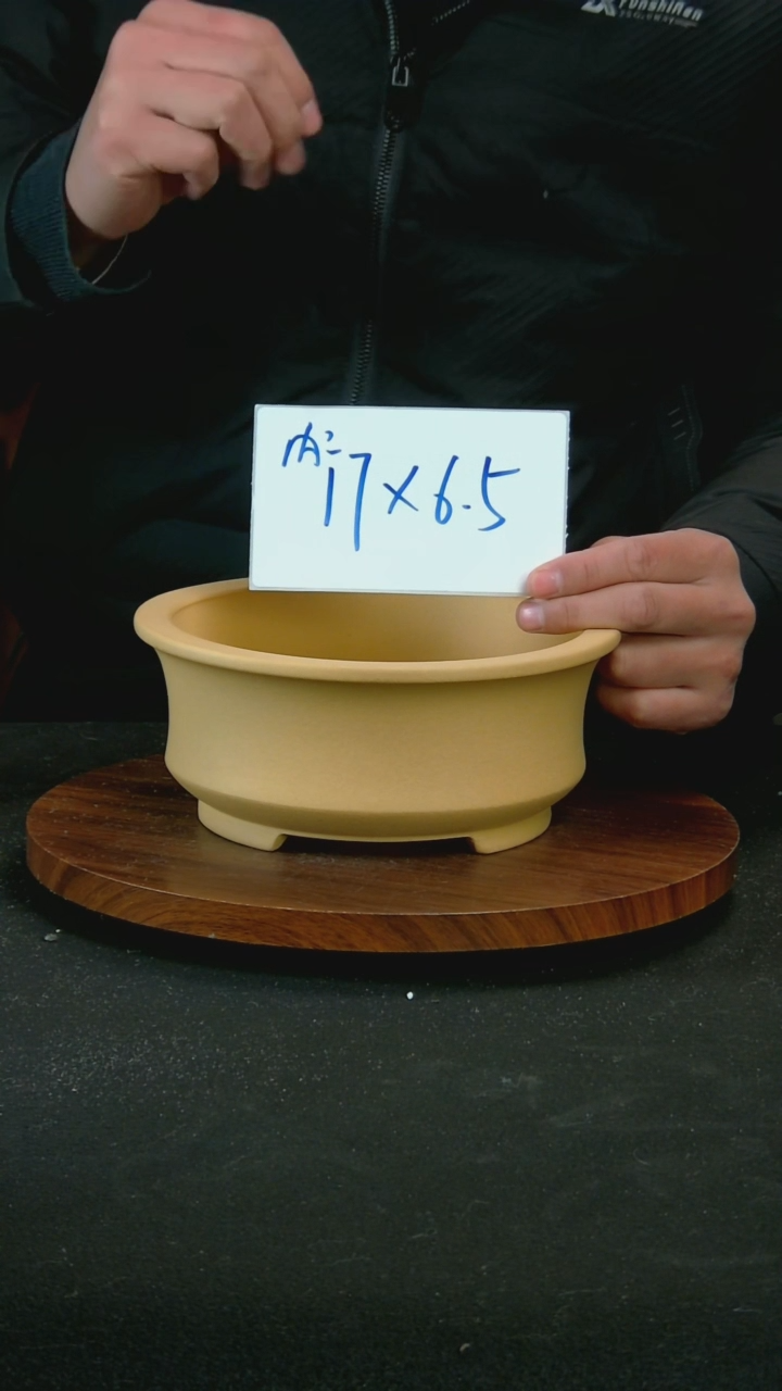 【闪购商品】紫砂G82