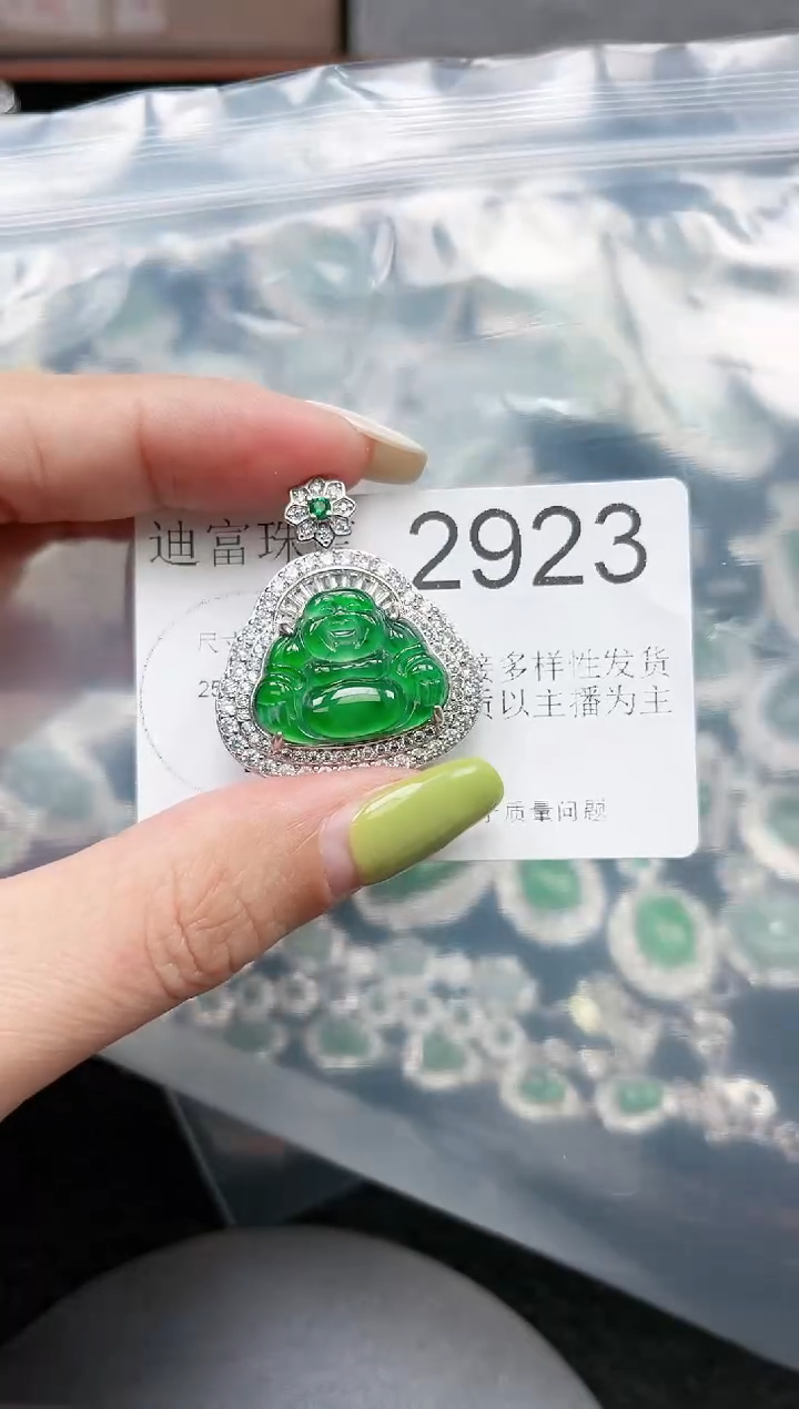 【闪购商品】翡翠颈饰未镶嵌2923赠皮绳