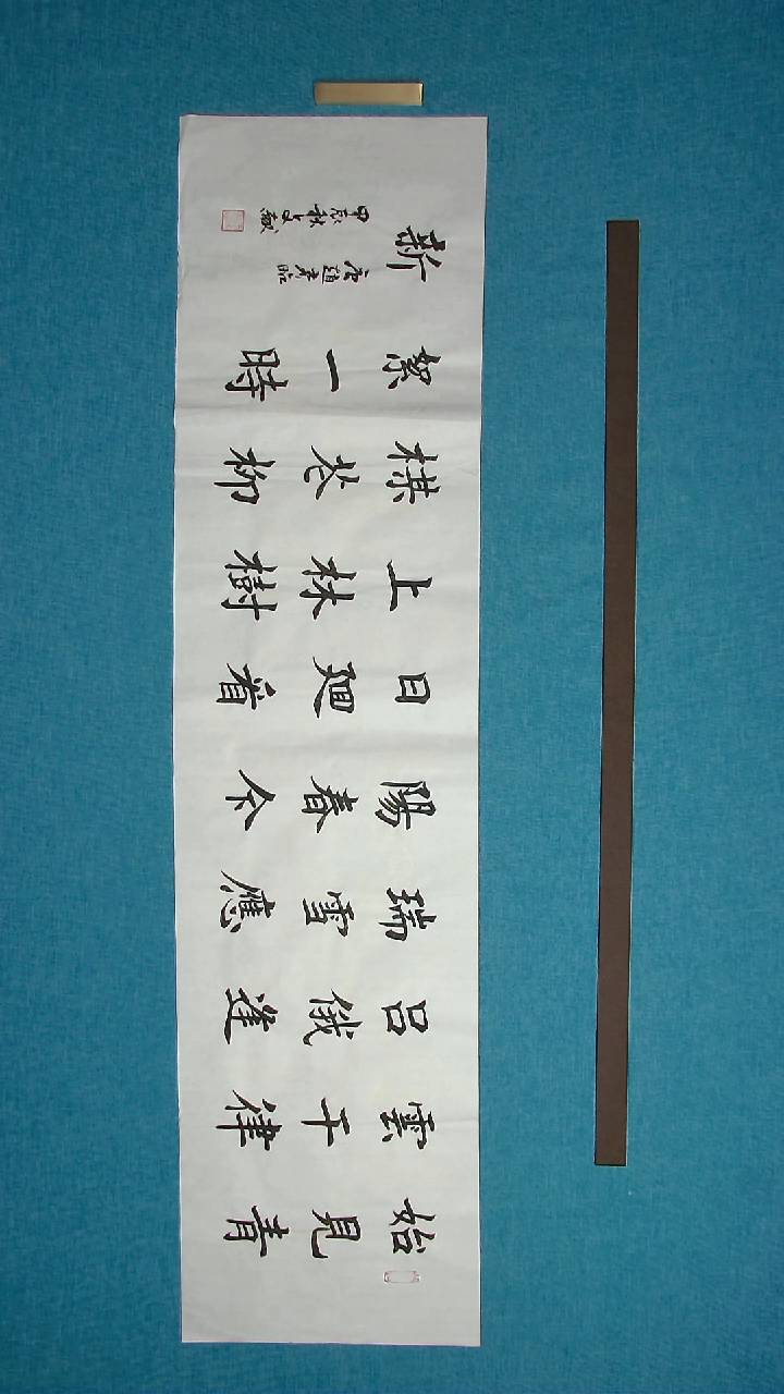 【闪购商品】书法215 河南王文献中书协138*34